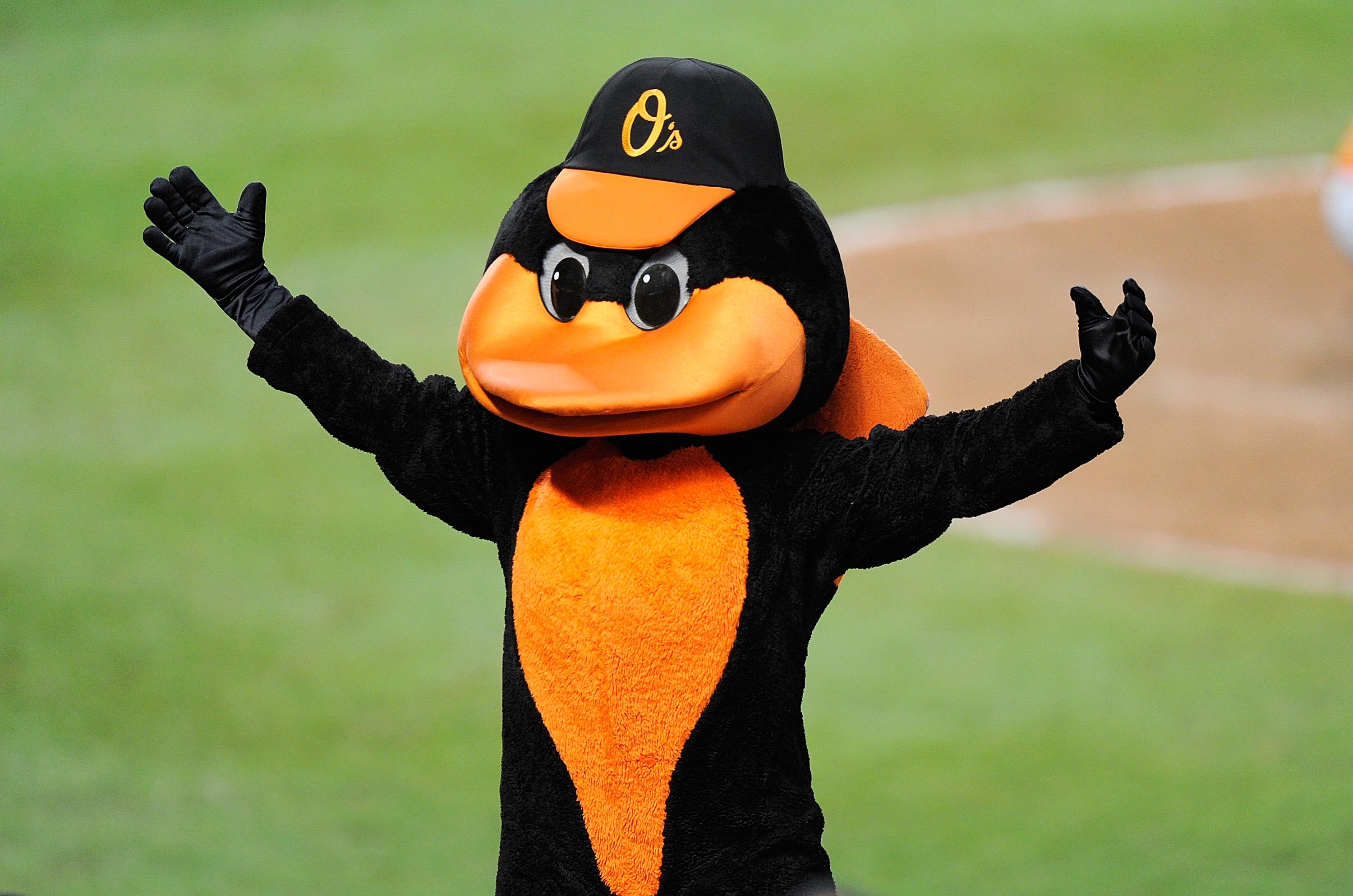 Baltimore Orioles mascot